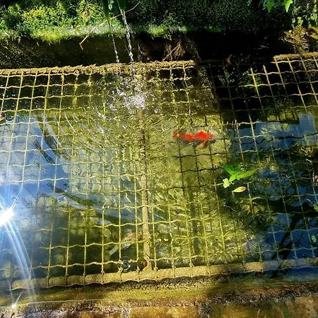 Fontecorona Bed & Breakfast 3*