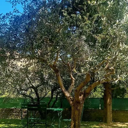 Fontecorona 3* Serra San Quirico